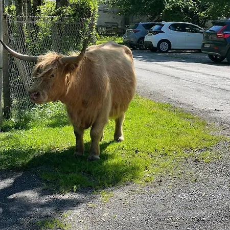 Grande Caravane Avec Auvent Au Milieu Du Parc Naturel Des Pyrenees Camping *