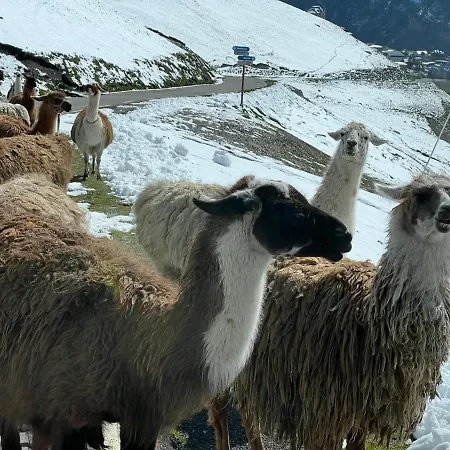 Grande Caravane Avec Auvent Au Milieu Du Parc Naturel Des Pyrenees Camping *