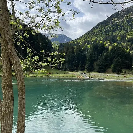 Grande Caravane Avec Auvent Au Milieu Du Parc Naturel Des Pyrenees